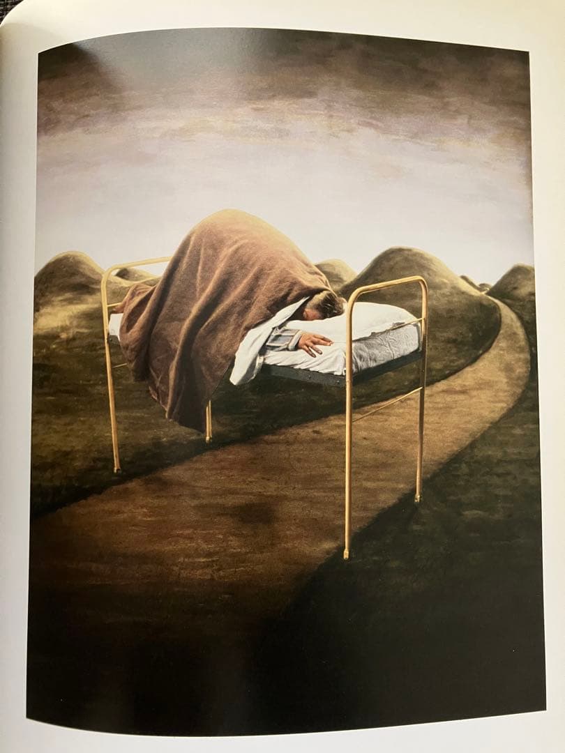 TEUN HOCKS 絵画集