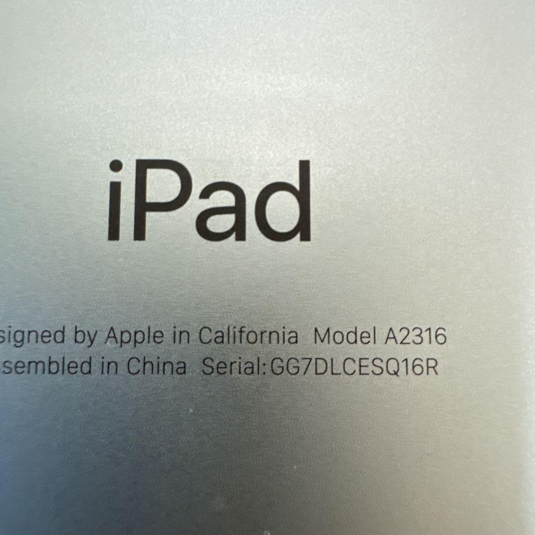iPad本体 ipad air