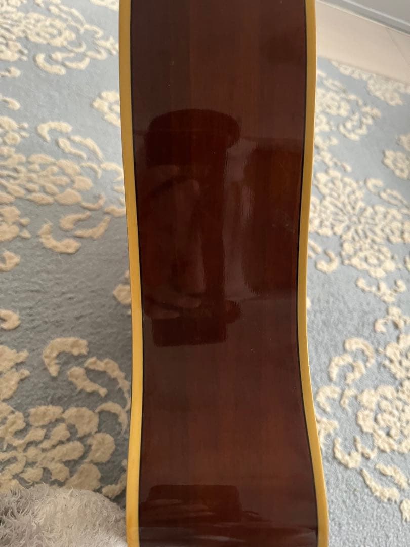 Yamaha APXー6SA