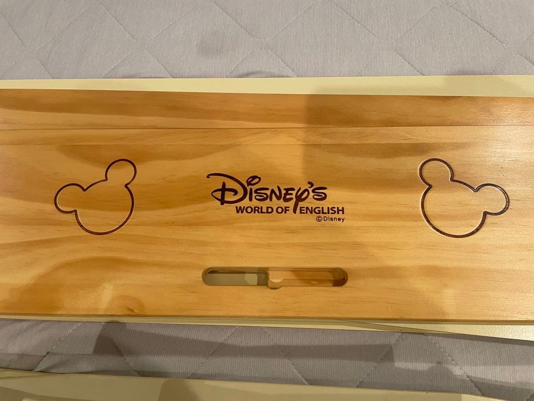 Disney's World of English DVDセット