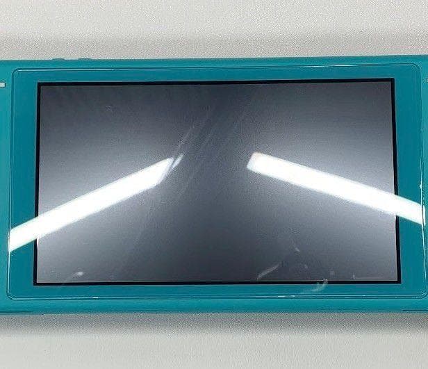 Nintendo Switch Lite 本体 動作品 2019 おまけ付き