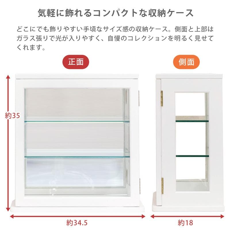 《新品・送料無料》スリムコレクションケース　ヨコ型　BR/WH