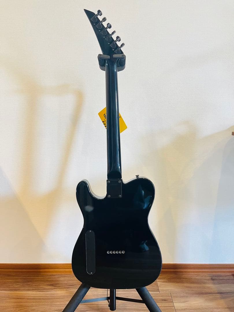 FERNANDES TE-95HT 布袋寅泰モデル