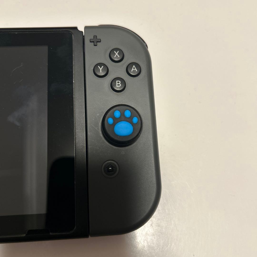 Nintendo Switch 本体 グレー 青い paw ジョイコン