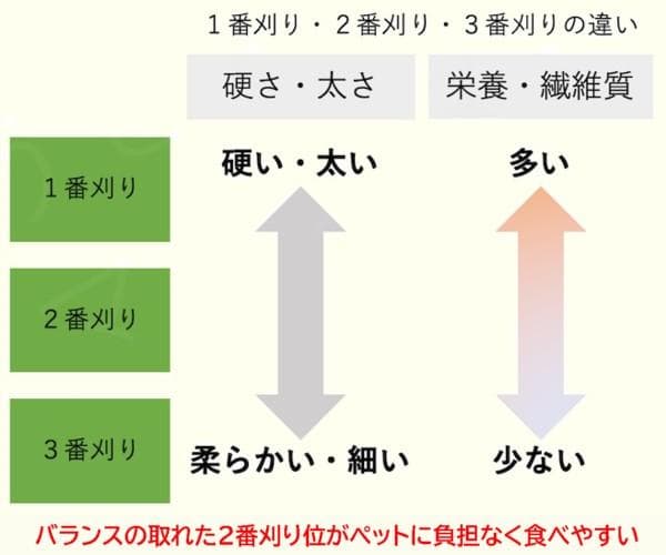 【11/30まで】 カナダ産 チモシー 50kg スーパープレミアム １番刈り