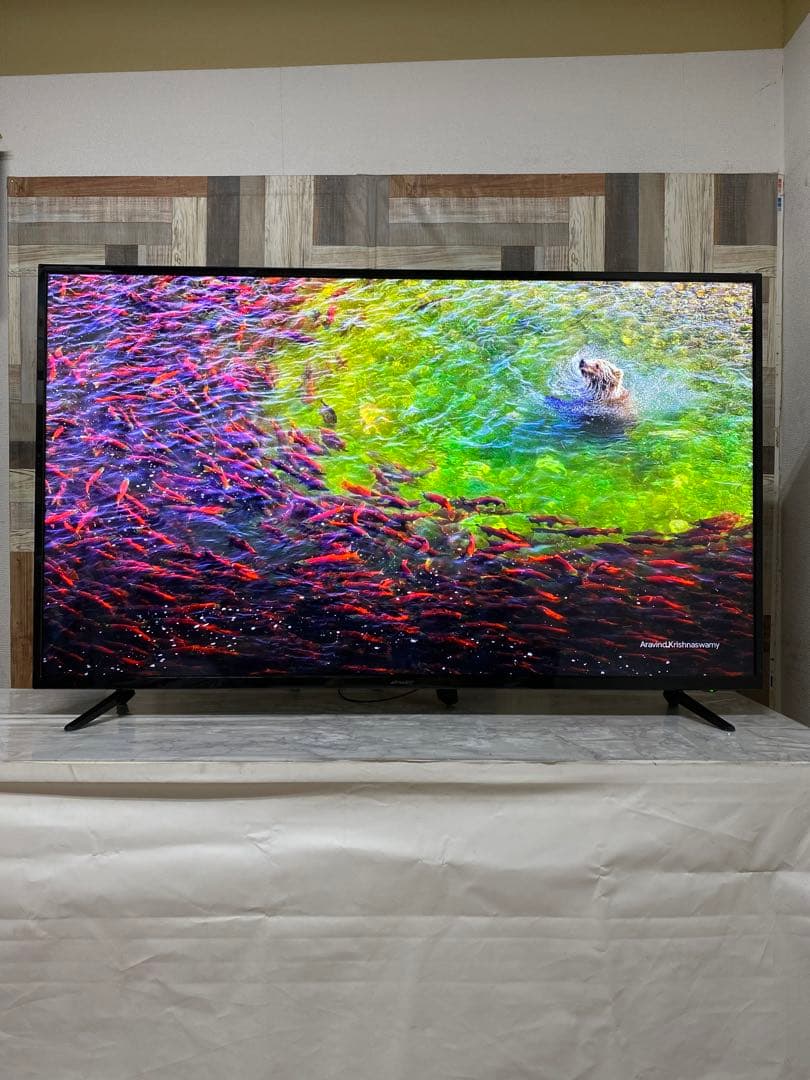 即日受渡❣️送料込3年前購入ジャパンネクスト55型4K目に優しいブルーカット