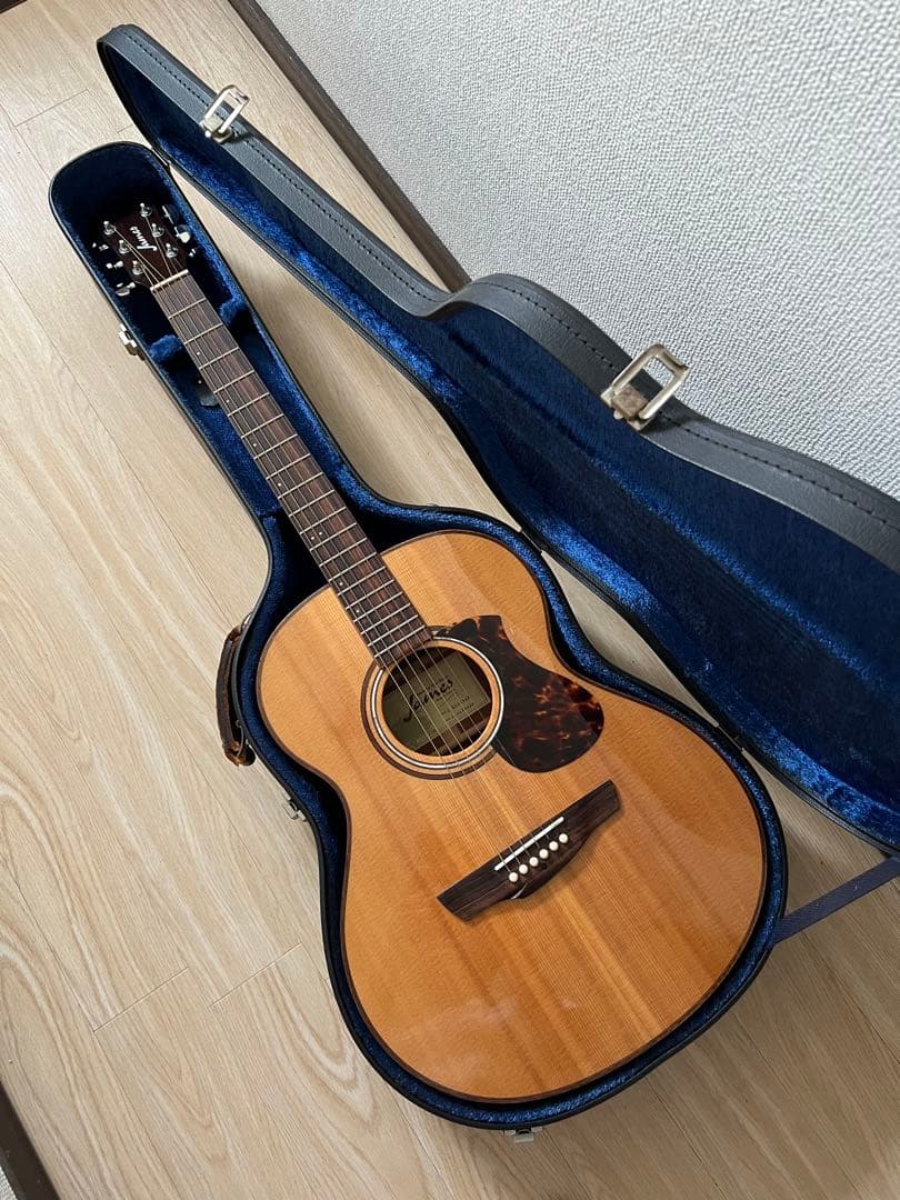 James オール単板 エレアコ　j-800a