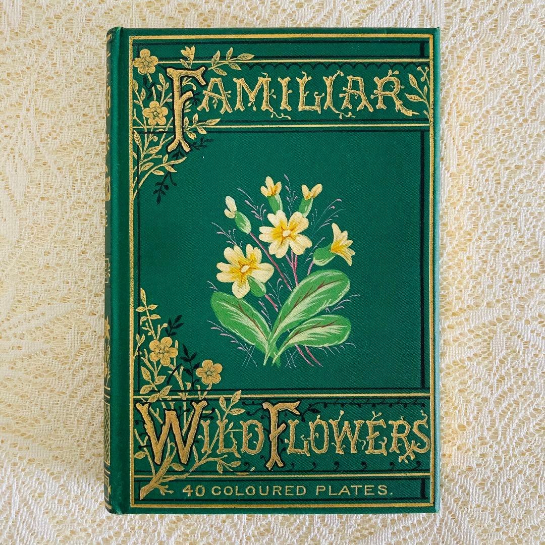 希少　Familiar Wild Flowers　アンティーク植物図鑑　洋書古書