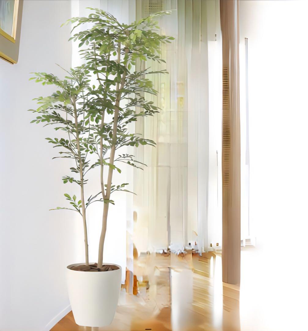 光触媒　人工観葉植物　ウォールグリーン　フェイクグリーン　ツートントネリコ1.6