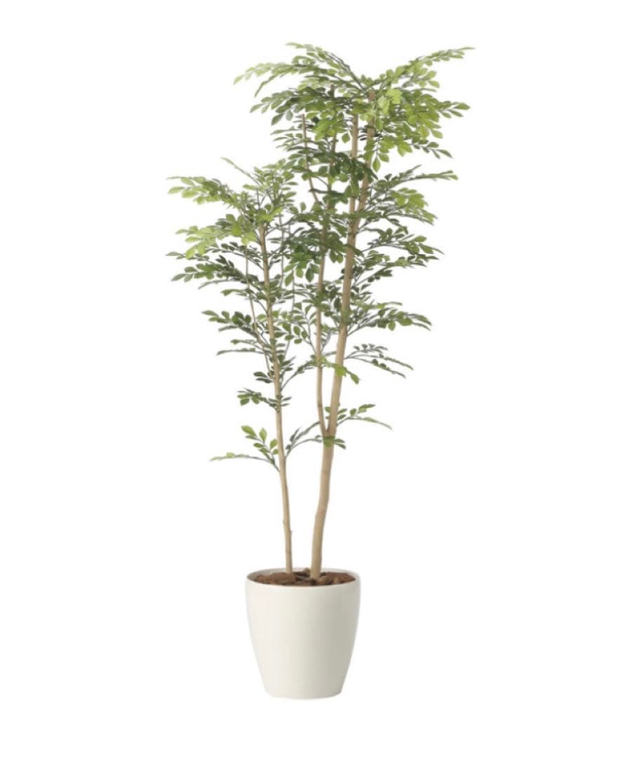 光触媒　人工観葉植物　ウォールグリーン　フェイクグリーン　ツートントネリコ1.6