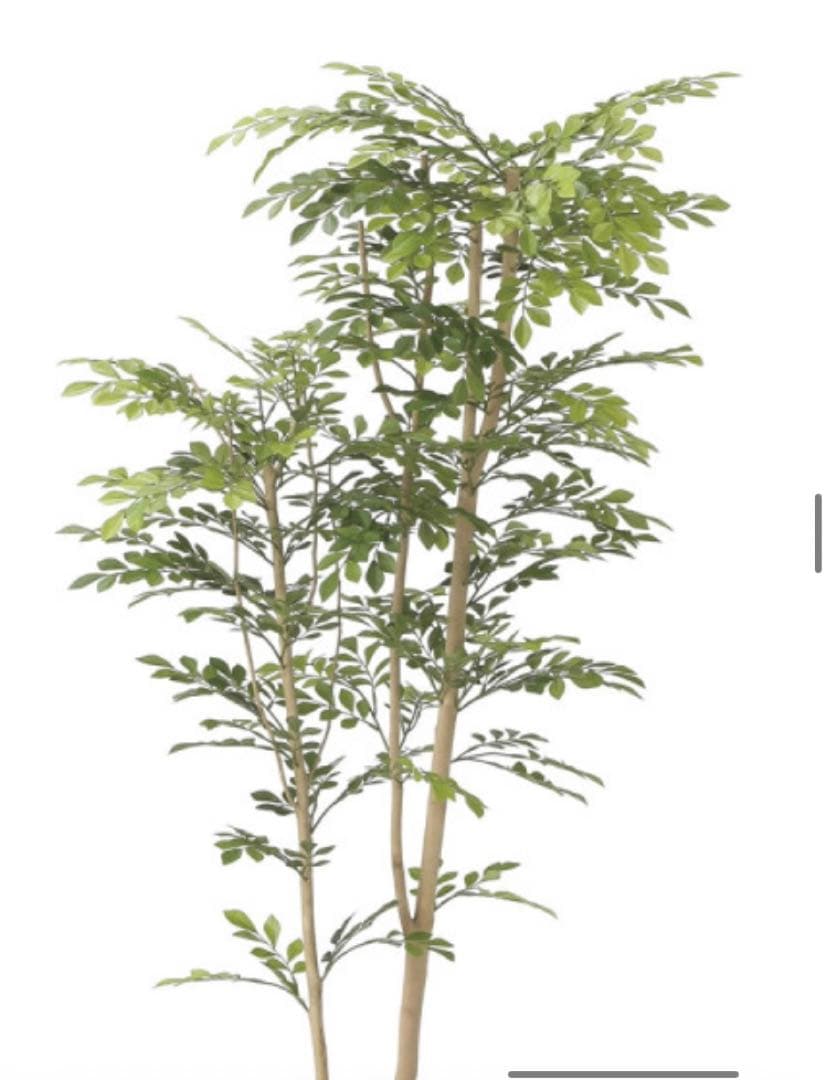 光触媒　人工観葉植物　ウォールグリーン　フェイクグリーン　ツートントネリコ1.6