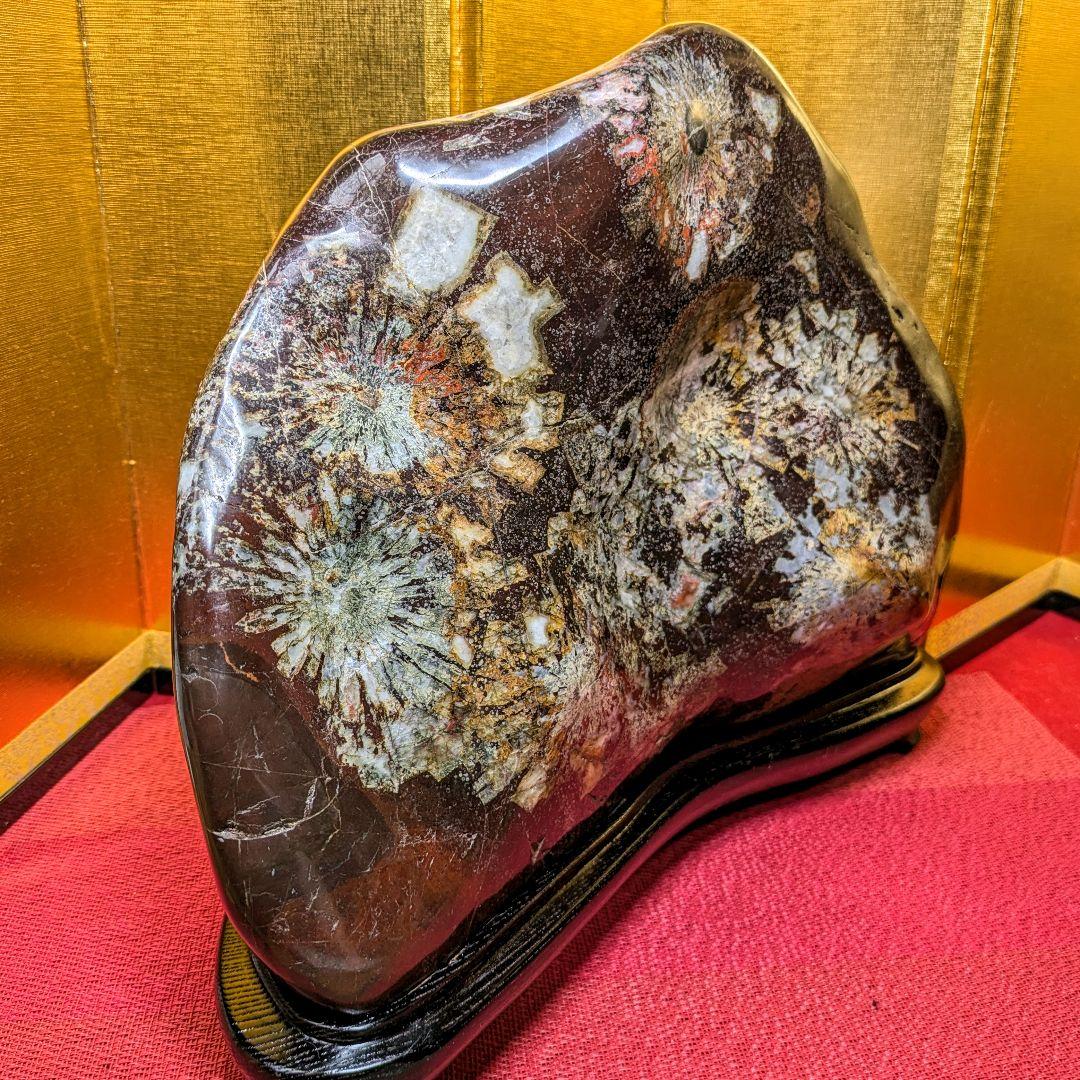 菊花石 岐阜県根尾谷産16.2㌔ 鑑賞石 観賞石 水石 盆石 天然石 置物 家宝