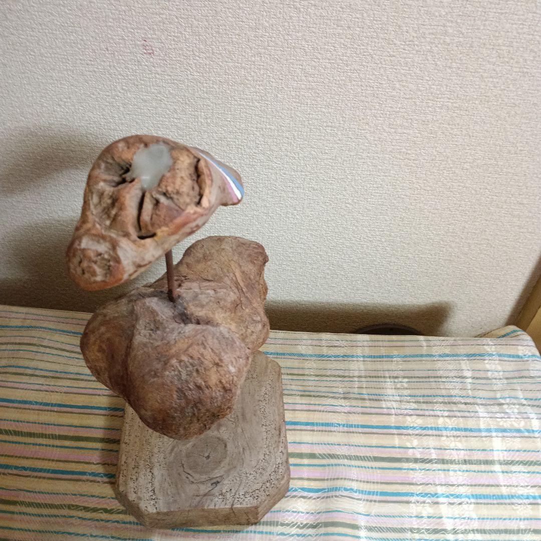 馬場彬流木の 作品