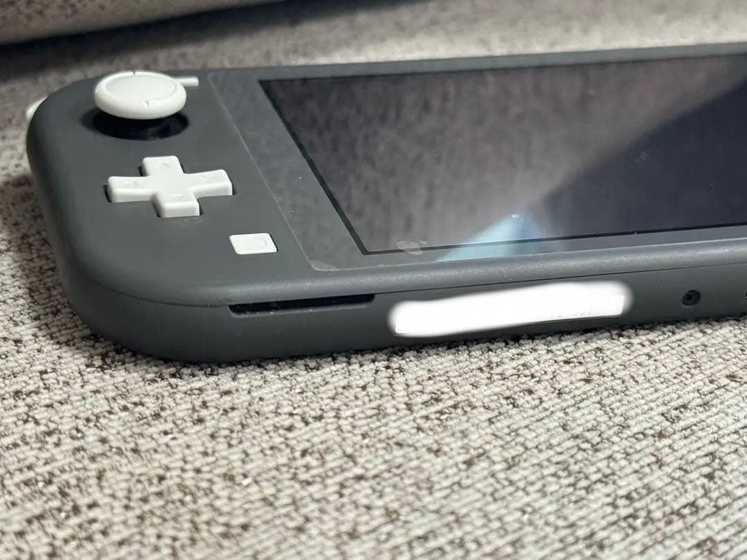 Switch Lite グレー