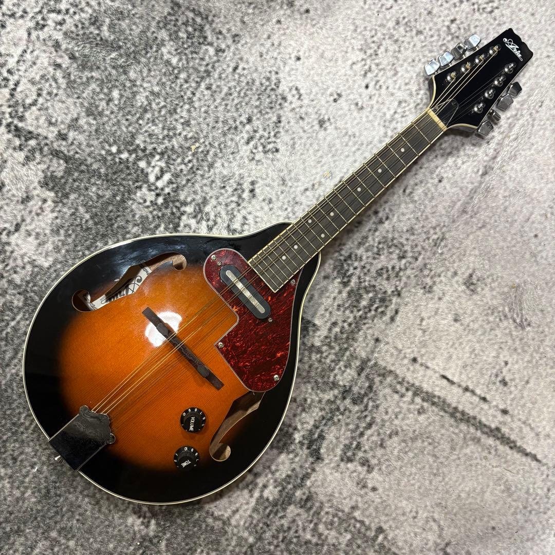 エレキマンドリン Aria AM-20E ピックアップ搭載 ケース2個付き