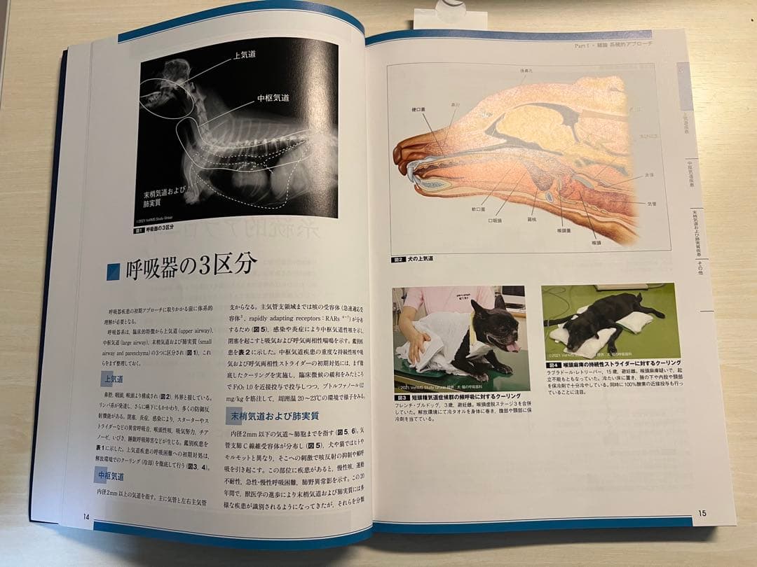 犬と猫の呼吸器疾患（裁断なし）