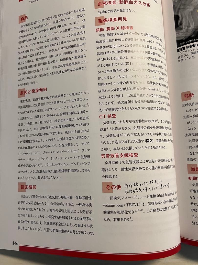 犬と猫の呼吸器疾患（裁断なし）