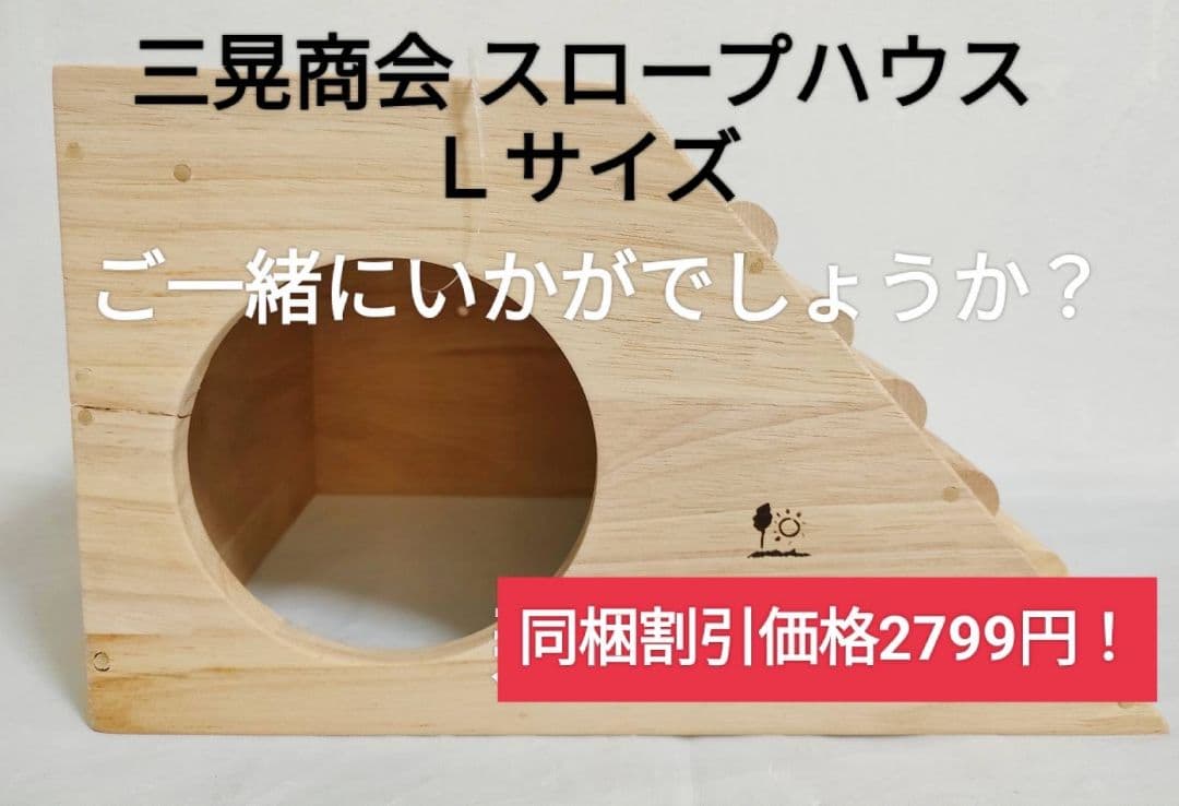 【まとめ買い大特価】モルモットセレクションプロ600g ×10袋セット