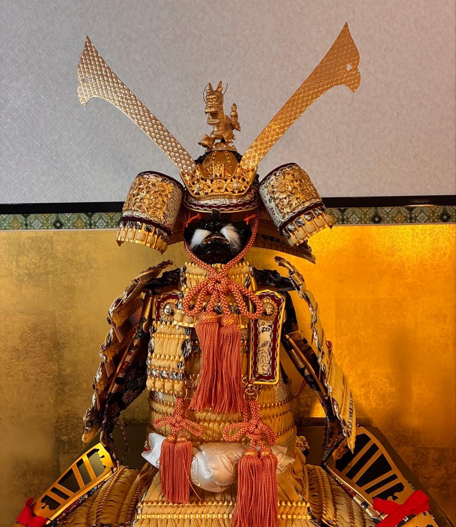 五月人形 武士の鎧兜・弓太刀・箔押金屏風　セット