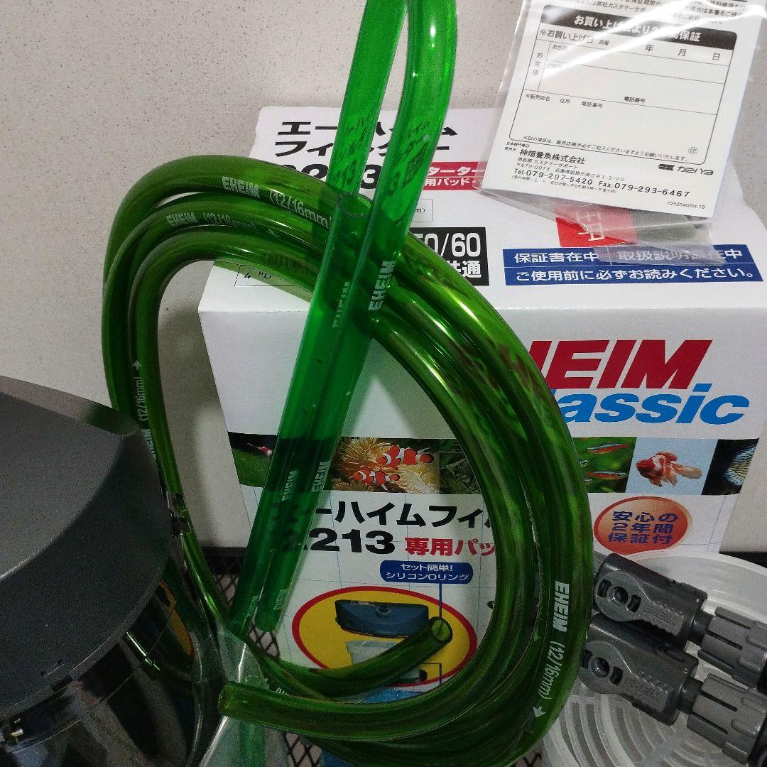 パンプキン