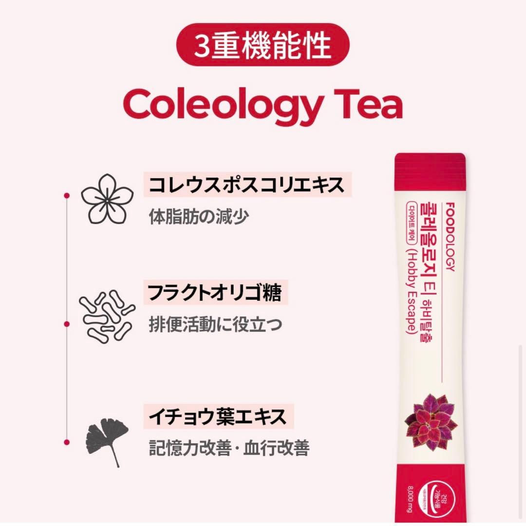 フードオロジ コレオロジー コレオロジーティー ダイエット セット