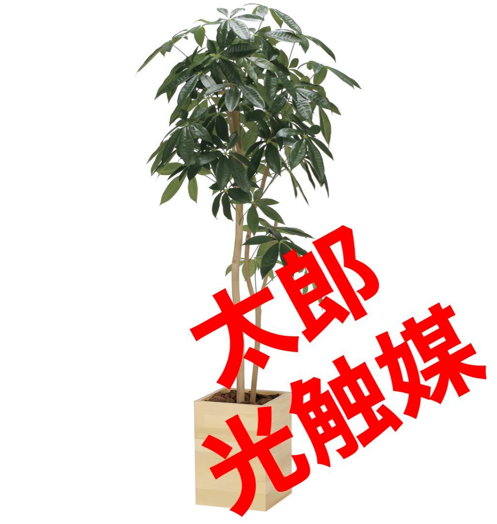 光触媒　人工観葉植物　フェイクグリーン　ウッドボックスパキラ1.6m