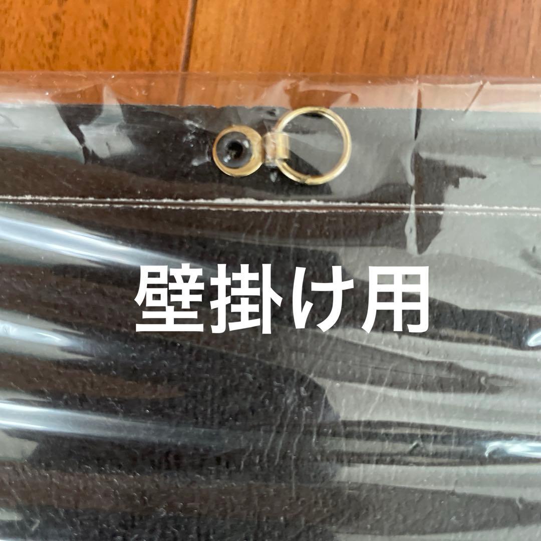 ディズニークルーズ　乗船記念額