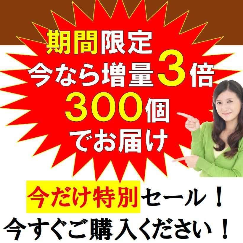 ゲルマニウム粒　肩こり　首こり　腰痛　ひざ　ひじ　プチシルマ　エレキバン 磁気