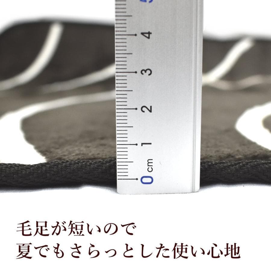 【MORITA 】電気カーペット2畳 ホットカバー付セット販売 グロウ ブラウン