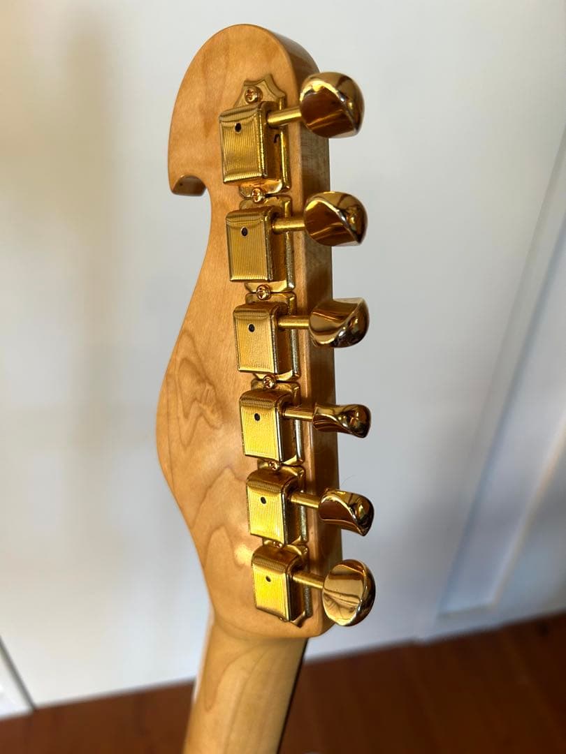 Bill Lawrence BCOR-55G シャケモデル　後期モデル
