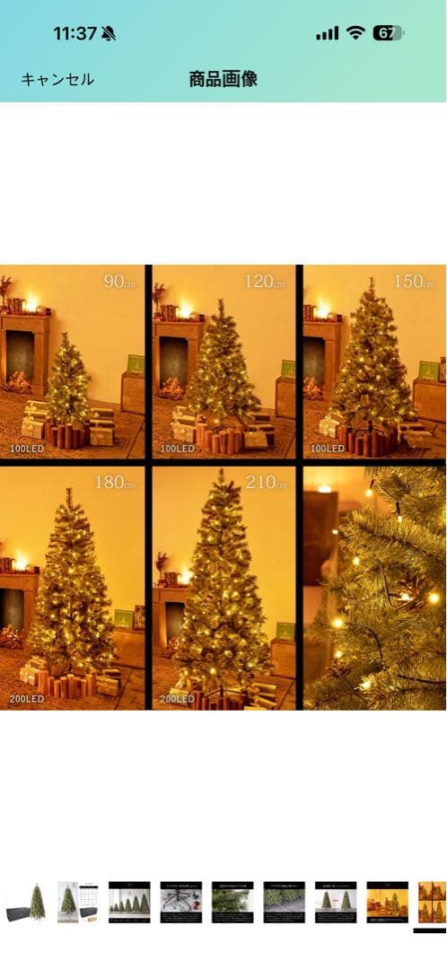 Alsace 高級クリスマスツリー (180cm)