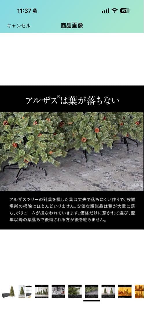 Alsace 高級クリスマスツリー (180cm)