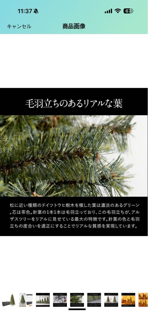 Alsace 高級クリスマスツリー (180cm)