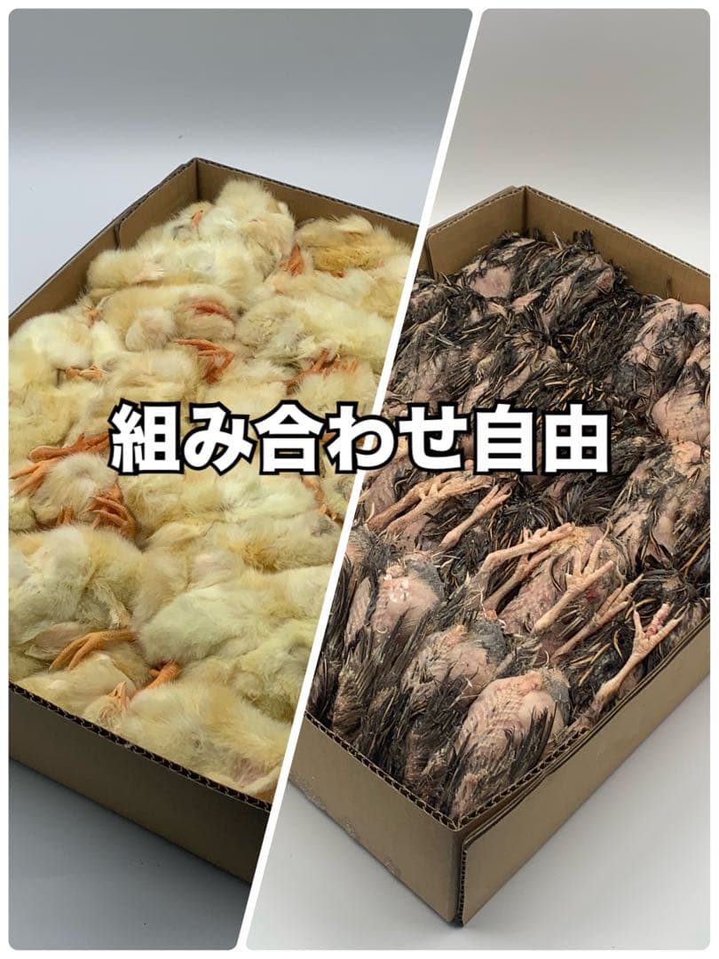 冷凍ウズラ5kg×5段【送料込】