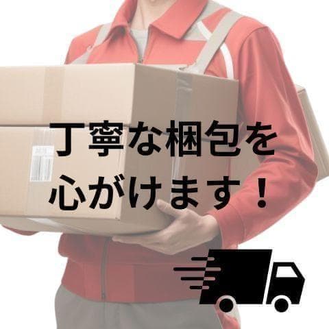パナソニック 電気しき毛布 シングル 140×80cm 丸洗い可 室温センサーb