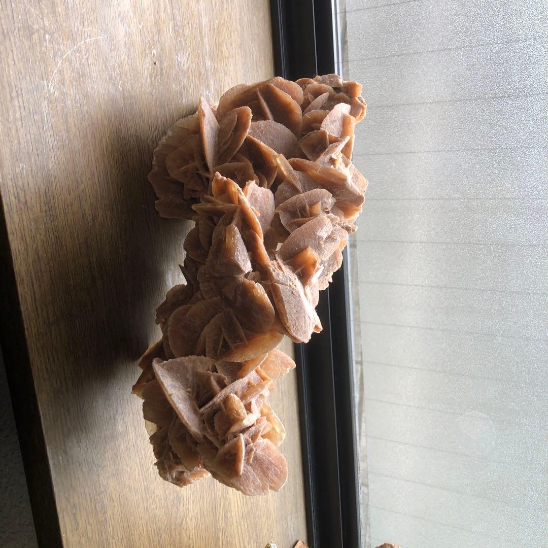 サハラの薔薇