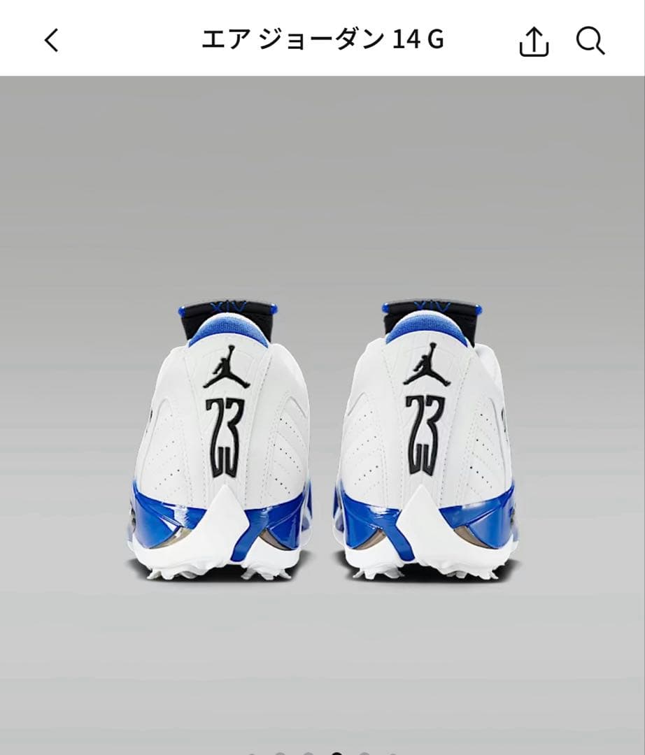 コ*)様 AIR JORDAN 14 G ゴルフシューズ 10 (US)