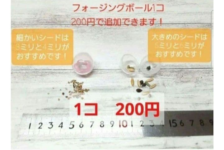 インコ　フォージングトイ　輪投げセット　バルサ　スタンドパーチ　バードトイ