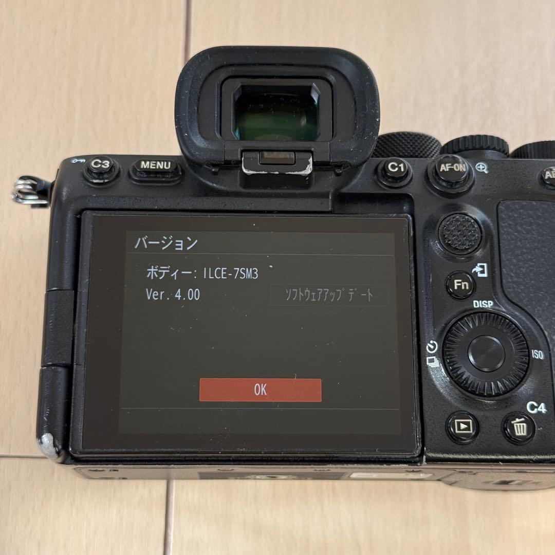 SONY α7SIII