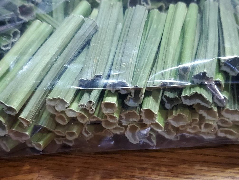 ステランさん専用　茎と実の乾燥　それぞれ700g　(国産・高品質)