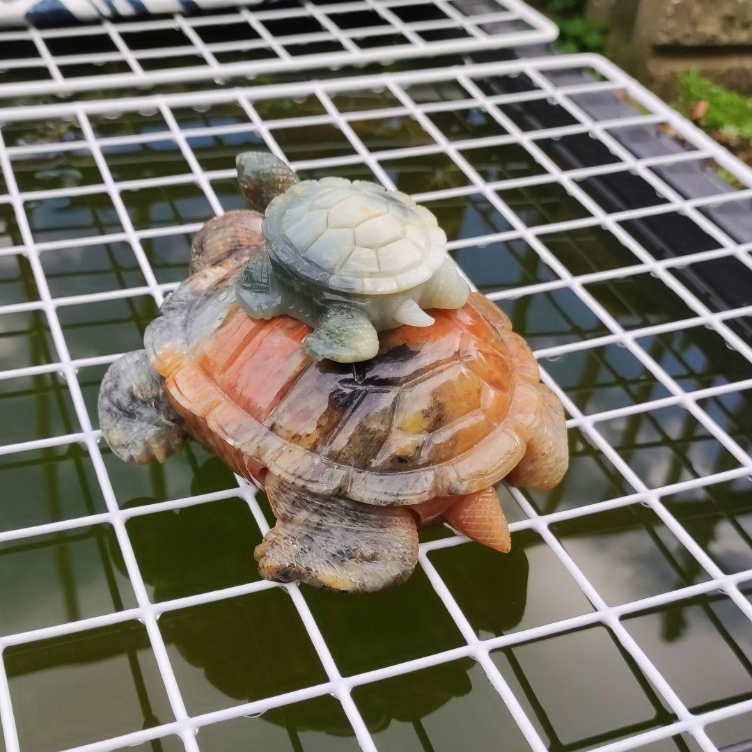 亀　置物　石　台湾　中国　美術