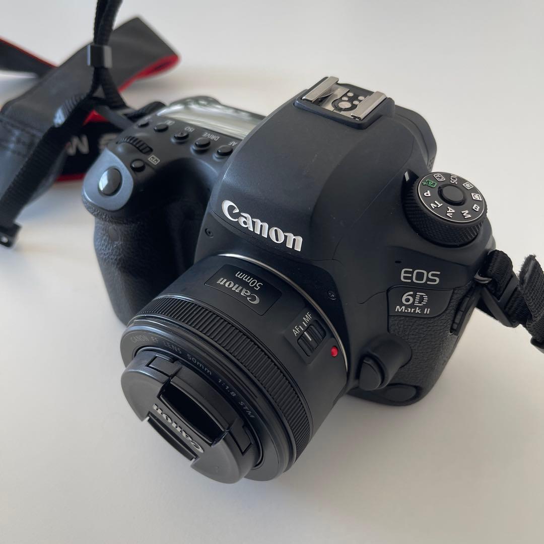 Canon EOS 6D Mark II レンズ2個セット　キャノン