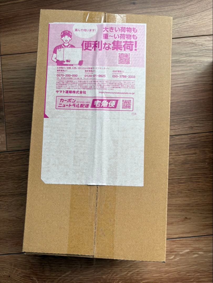 ポケモンセンター　ヒロシマ　2個セット　未開封