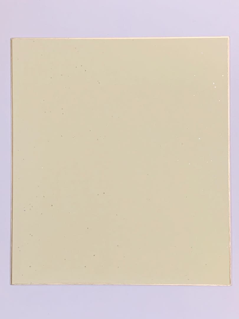 【超貴重品】★北川景子 直筆サイン色紙★2008年頃