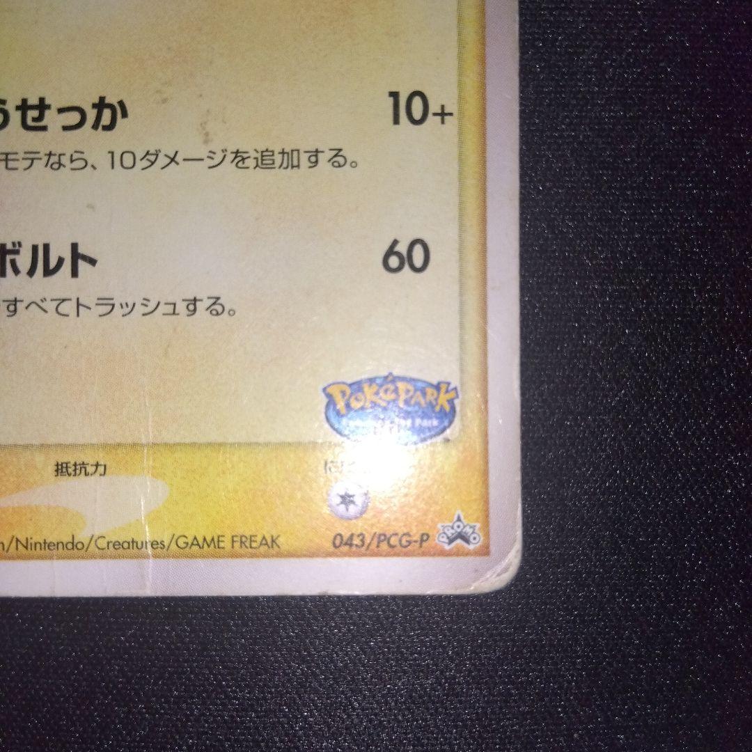 ポケパーク　グラードン　ゴンベ　ピカチュウ