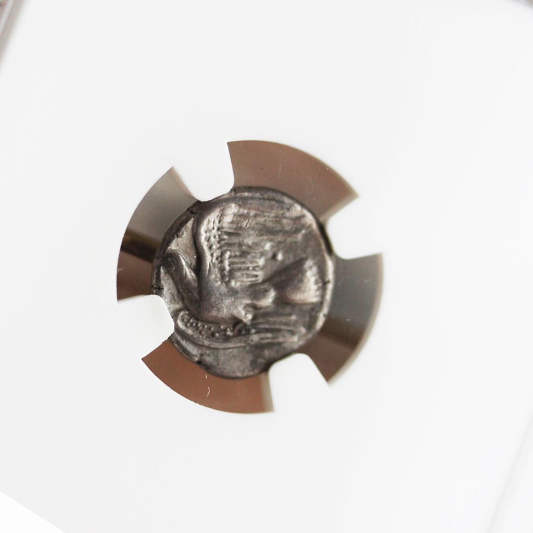 幻獣キマイラ【 VF NGC】シキオン　シキュオン オルボス銀貨　古代ギリシャ