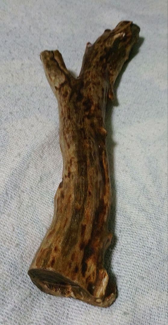 深海松　置物