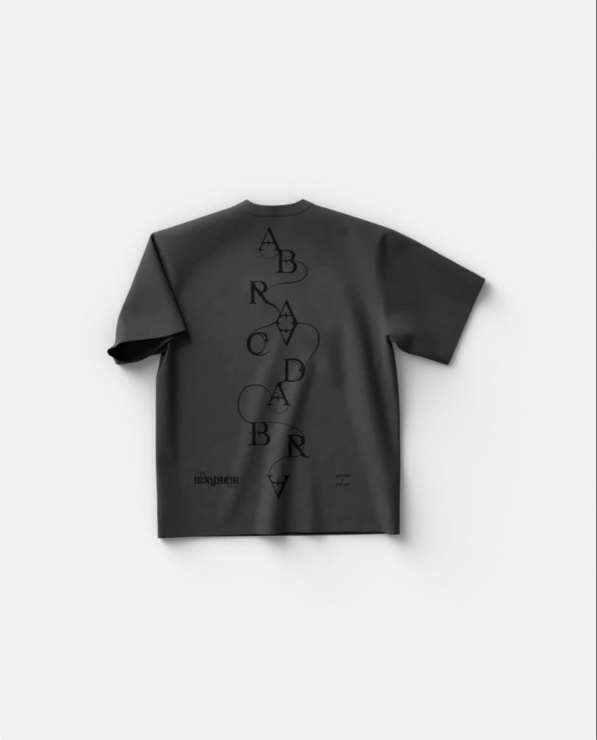 (新品)レディーガガ VIPGOLD 最前列 ABRA Tシャツ M〜最安値〜