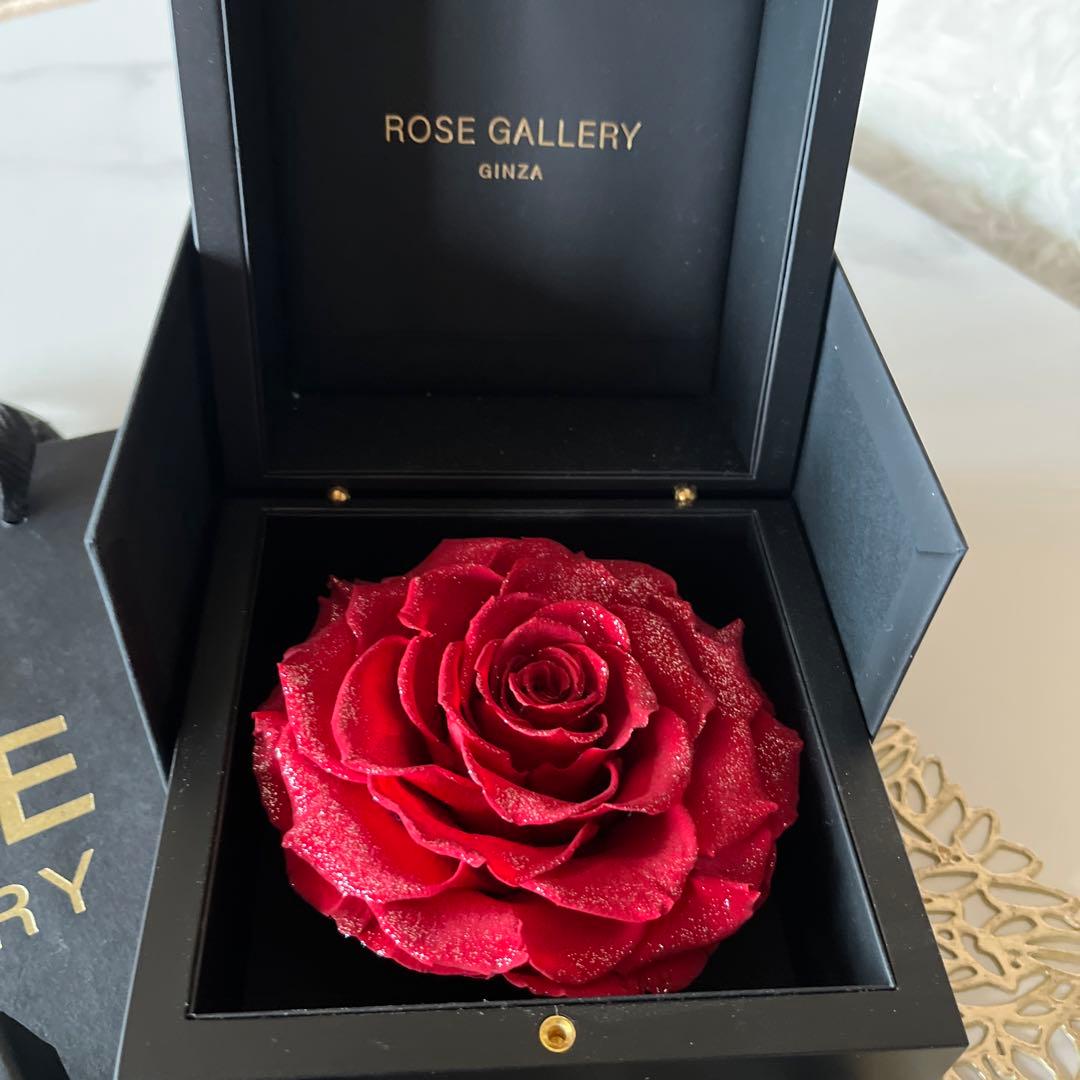 ROSE GALLERY L size レッドローズ