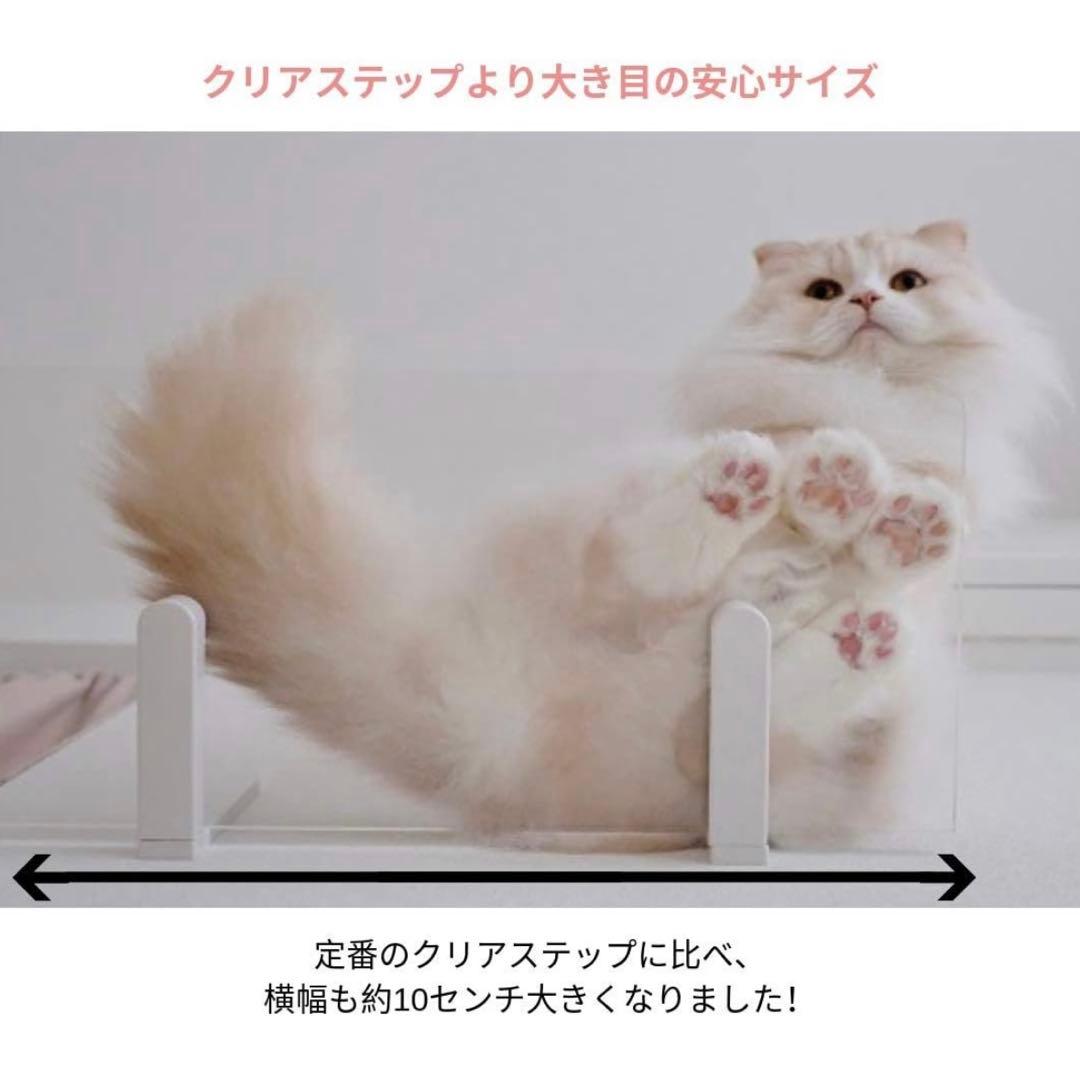 未使用品　アニマコレ　ワイドステップクリア2個セット